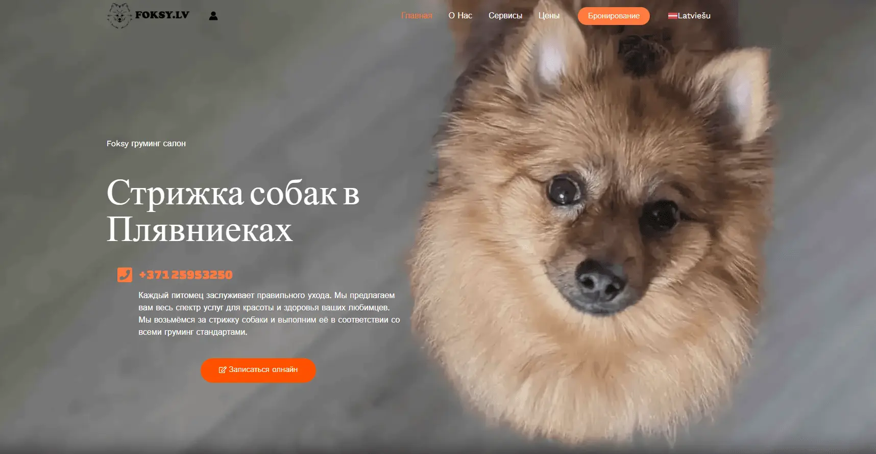 Foksy.lv – груминг-салон с онлайн-записью